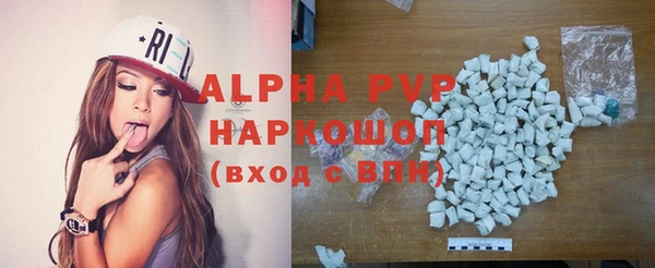 прущие грибы Кулебаки