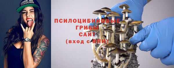 прущие грибы Кулебаки