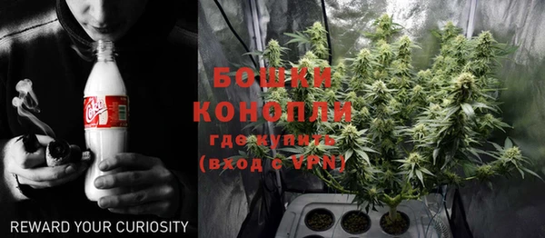 прущие грибы Кулебаки
