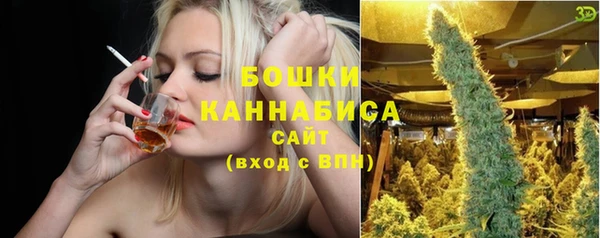 прущие грибы Кулебаки