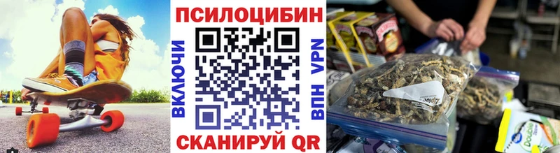 Галлюциногенные грибы Psilocybe  Купить закладки  Байкальск 